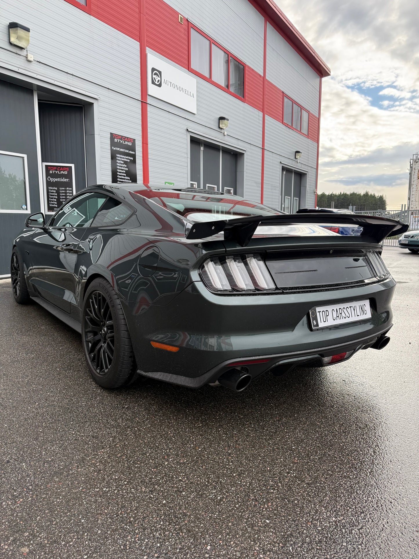 Mustang GT British racing Green bälte