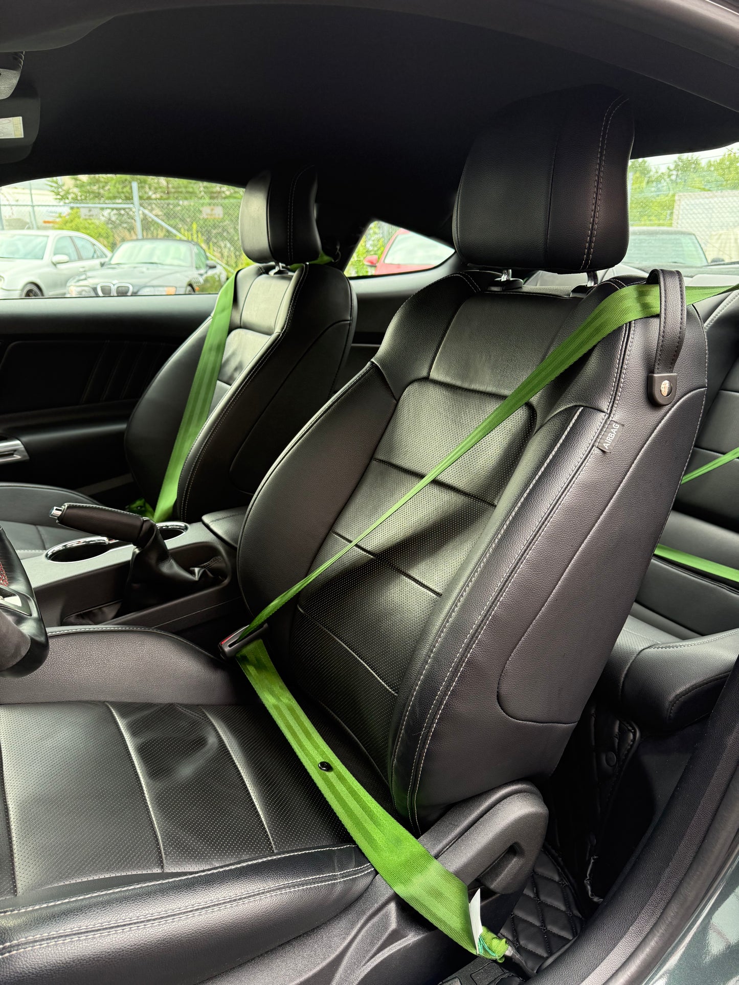 Mustang GT British racing Green bälte