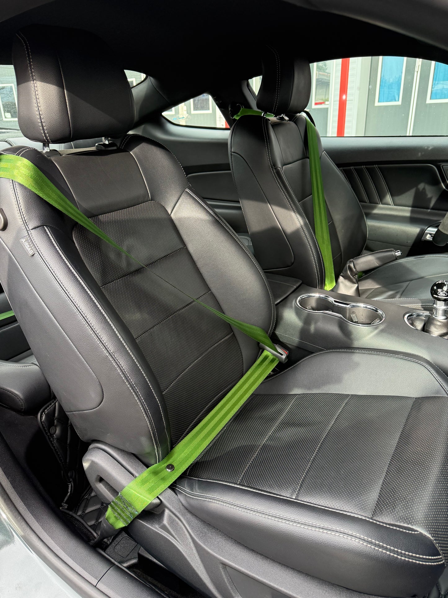 Mustang GT British racing Green bälte